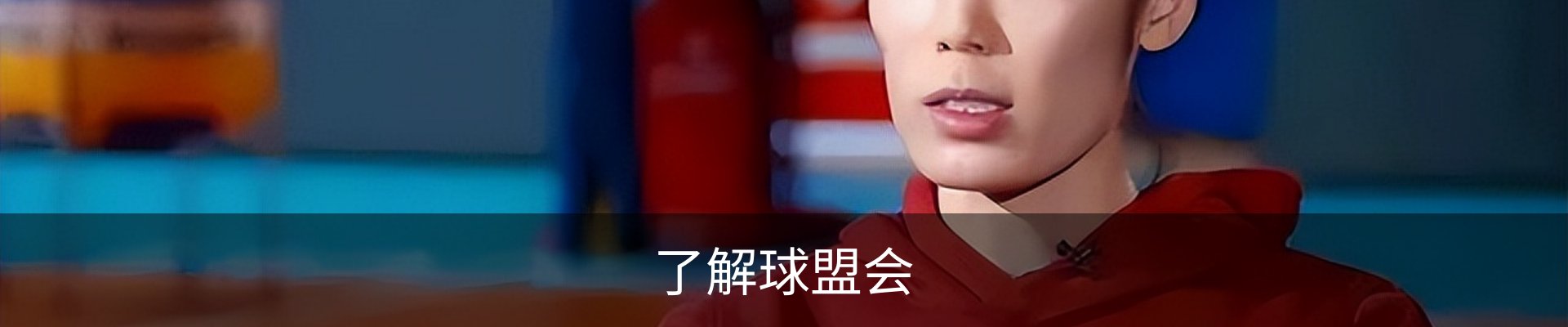 了解球盟会